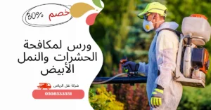 ورس لمكافحة الحشرات والنمل الأبيض بالرياض